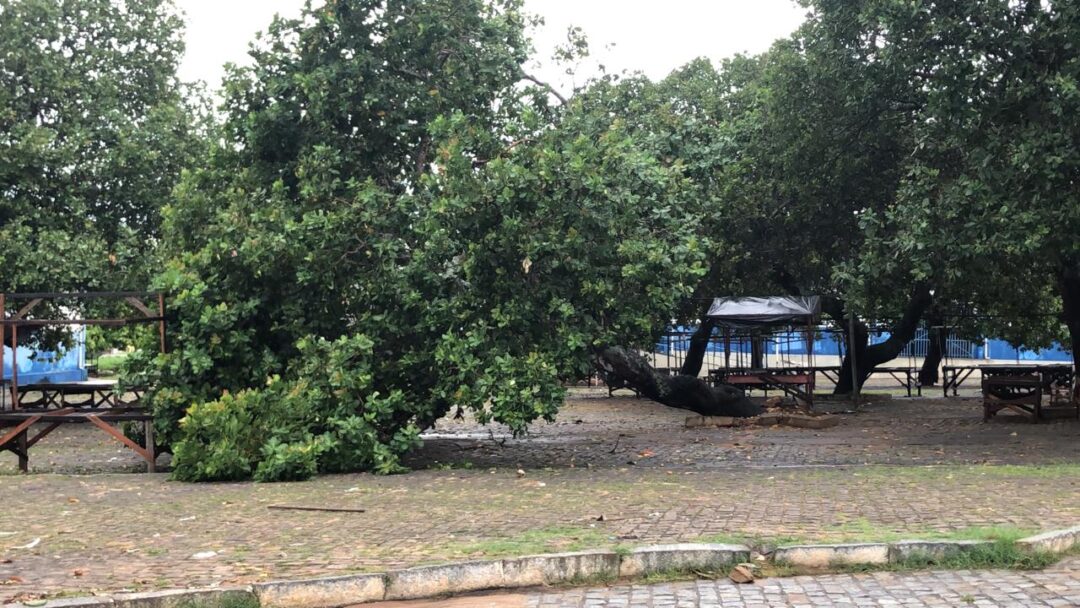 IMG 20211205 WA0087 1080x608 - Chuva forte causa estragos e prejuízos a moradores de Ribeira do Pombal.